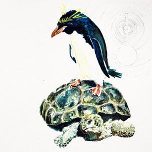 hura - penguins and turtles
